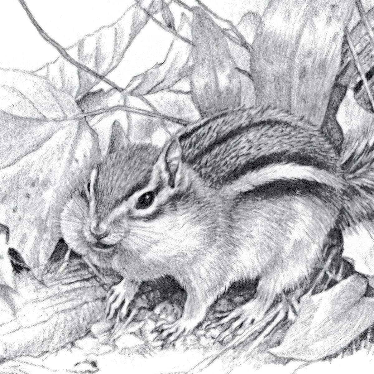Chipmunk - Canvas Print | Artwork by Glen Loates