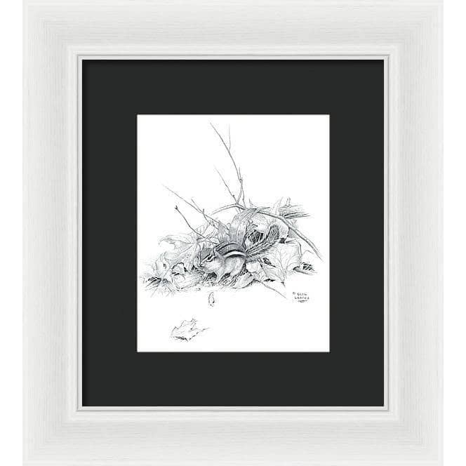 Chipmunk - Framed Print | Artwork by Glen Loates