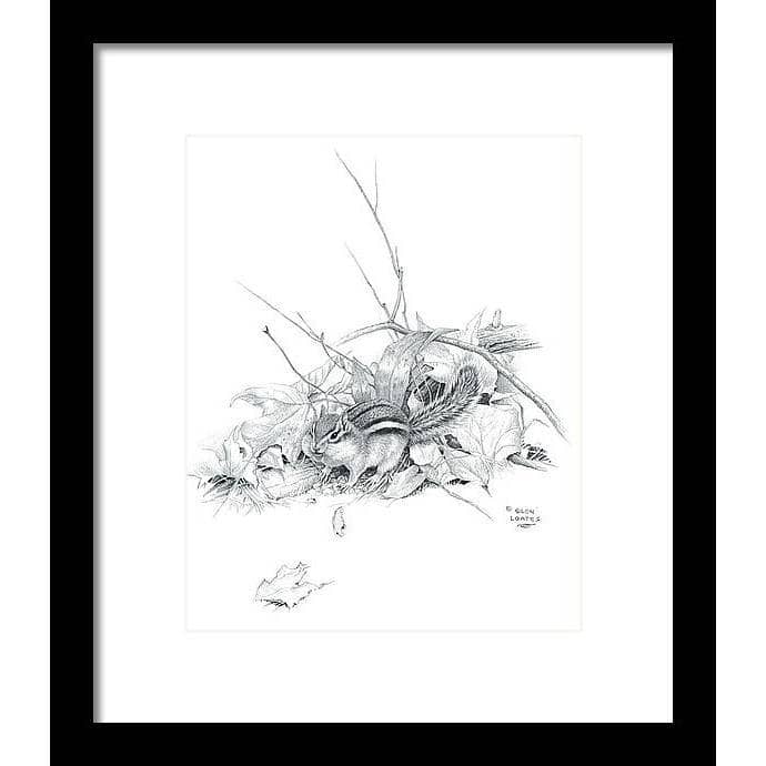 Chipmunk - Framed Print | Artwork by Glen Loates