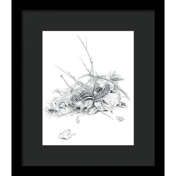Chipmunk - Framed Print | Artwork by Glen Loates