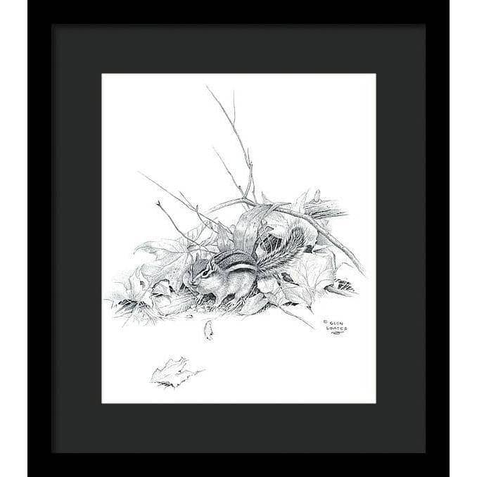 Chipmunk - Framed Print | Artwork by Glen Loates