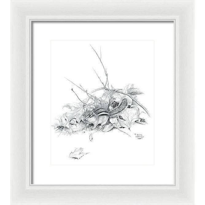 Chipmunk - Framed Print | Artwork by Glen Loates