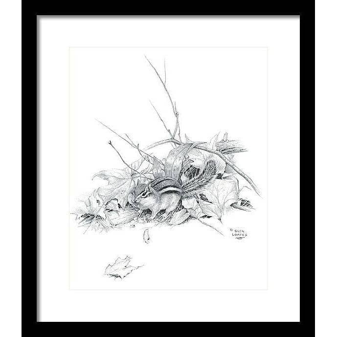 Chipmunk - Framed Print | Artwork by Glen Loates