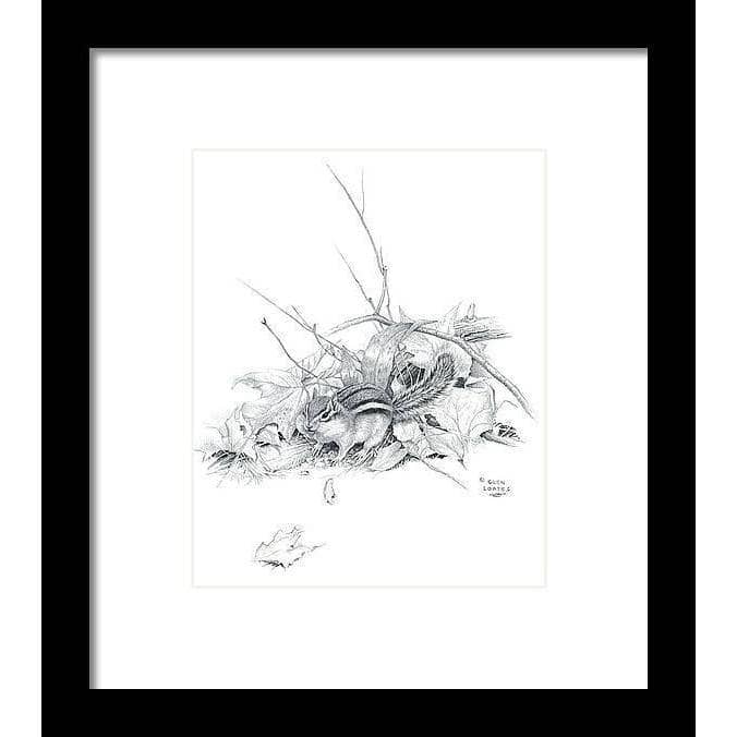 Chipmunk - Framed Print | Artwork by Glen Loates