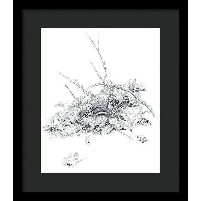 Chipmunk - Framed Print | Artwork by Glen Loates