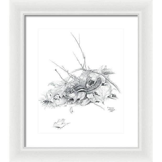 Chipmunk - Framed Print | Artwork by Glen Loates