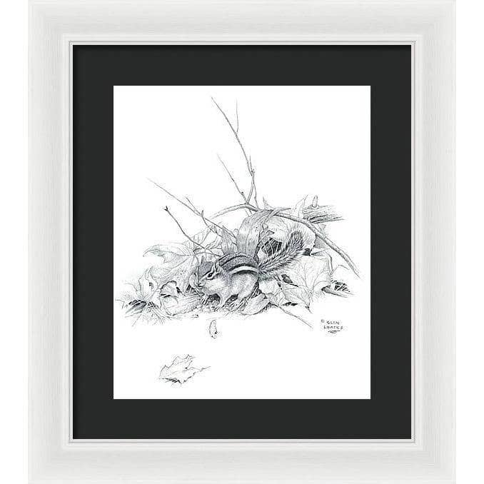 Chipmunk - Framed Print | Artwork by Glen Loates