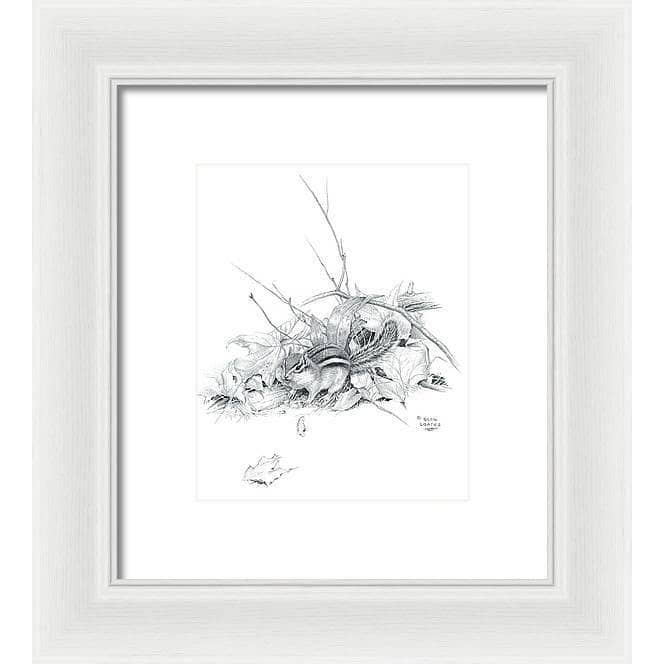 Chipmunk - Framed Print | Artwork by Glen Loates
