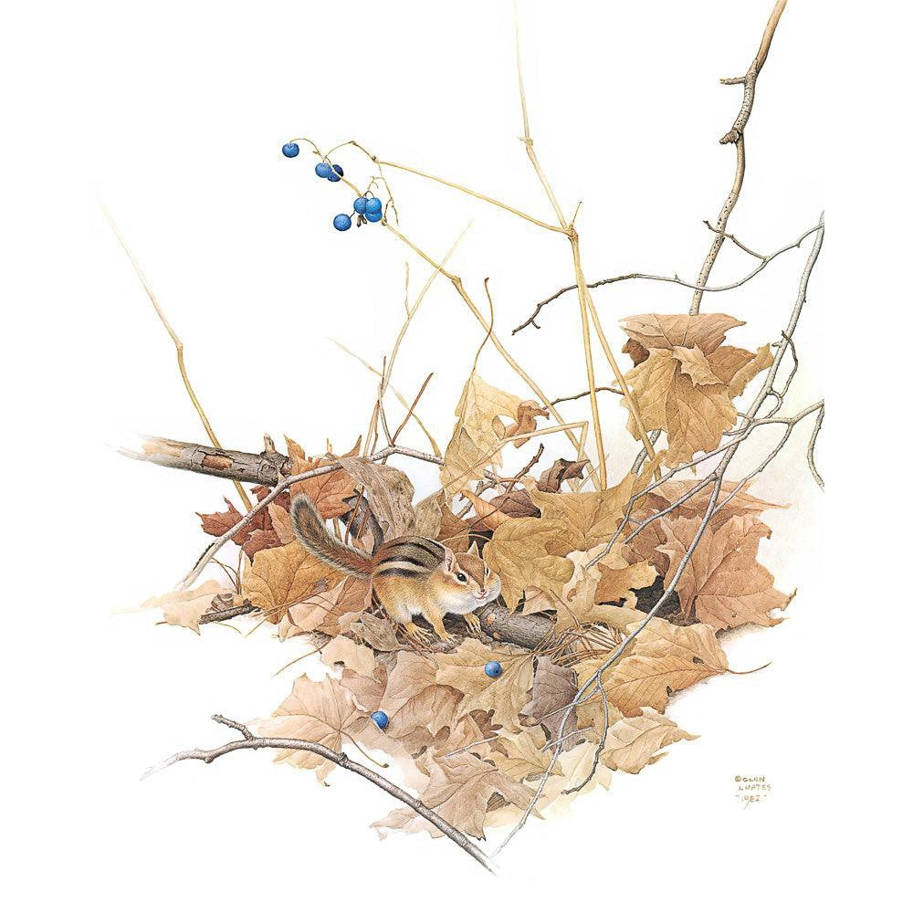 Chipmunk on Forest Floor - Art Print | Artwork by Glen Loates