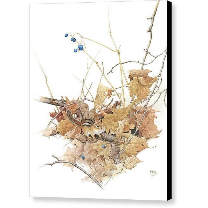 Chipmunk on Forest Floor - Canvas Print | Artwork by Glen Loates