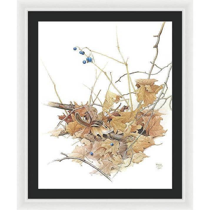 Chipmunk on Forest Floor - Framed Print | Artwork by Glen Loates