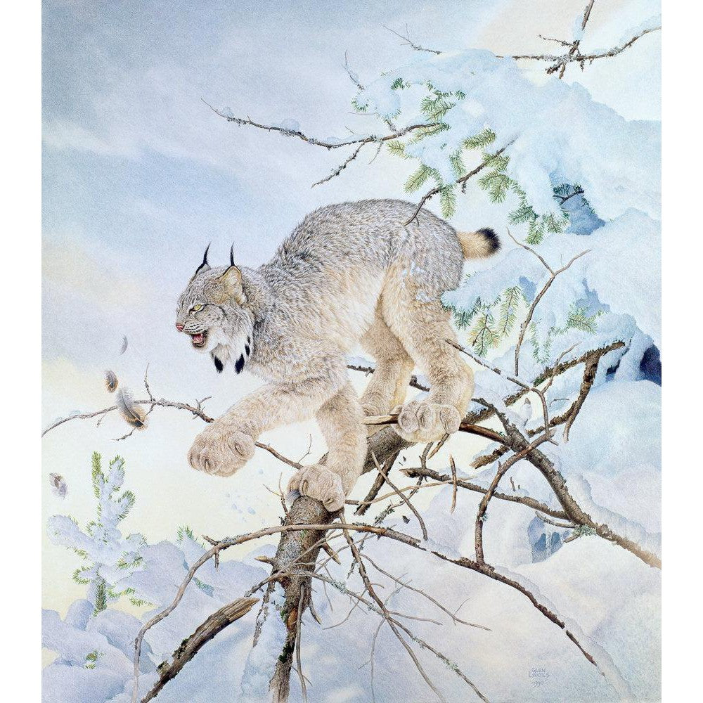 Close Call - Canvas Print | Artwork by Glen Loates