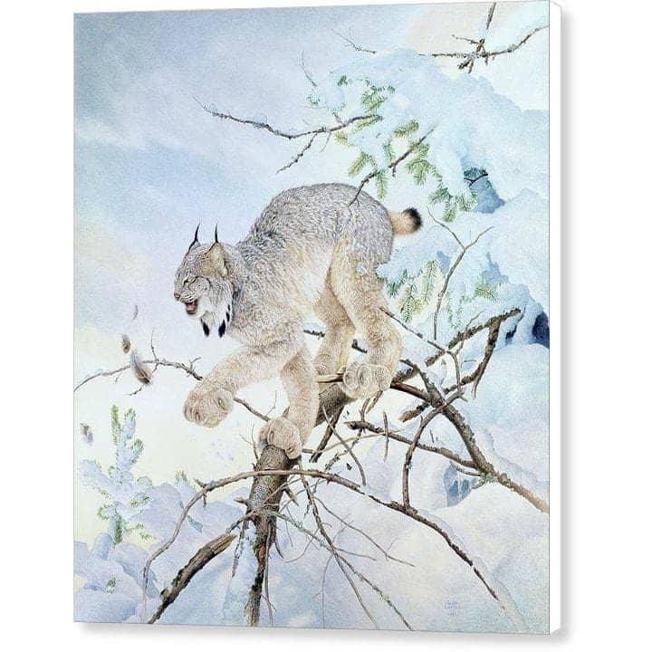 Close Call - Canvas Print | Artwork by Glen Loates