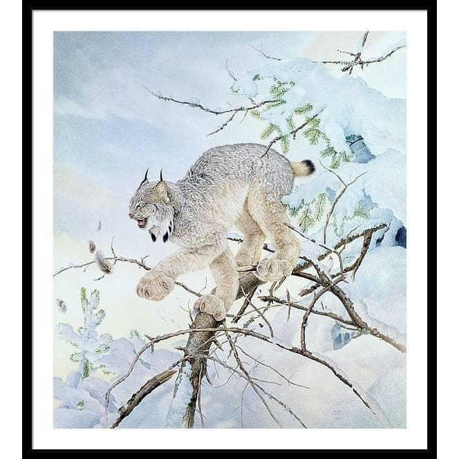 Close Call - Framed Print | Artwork by Glen Loates
