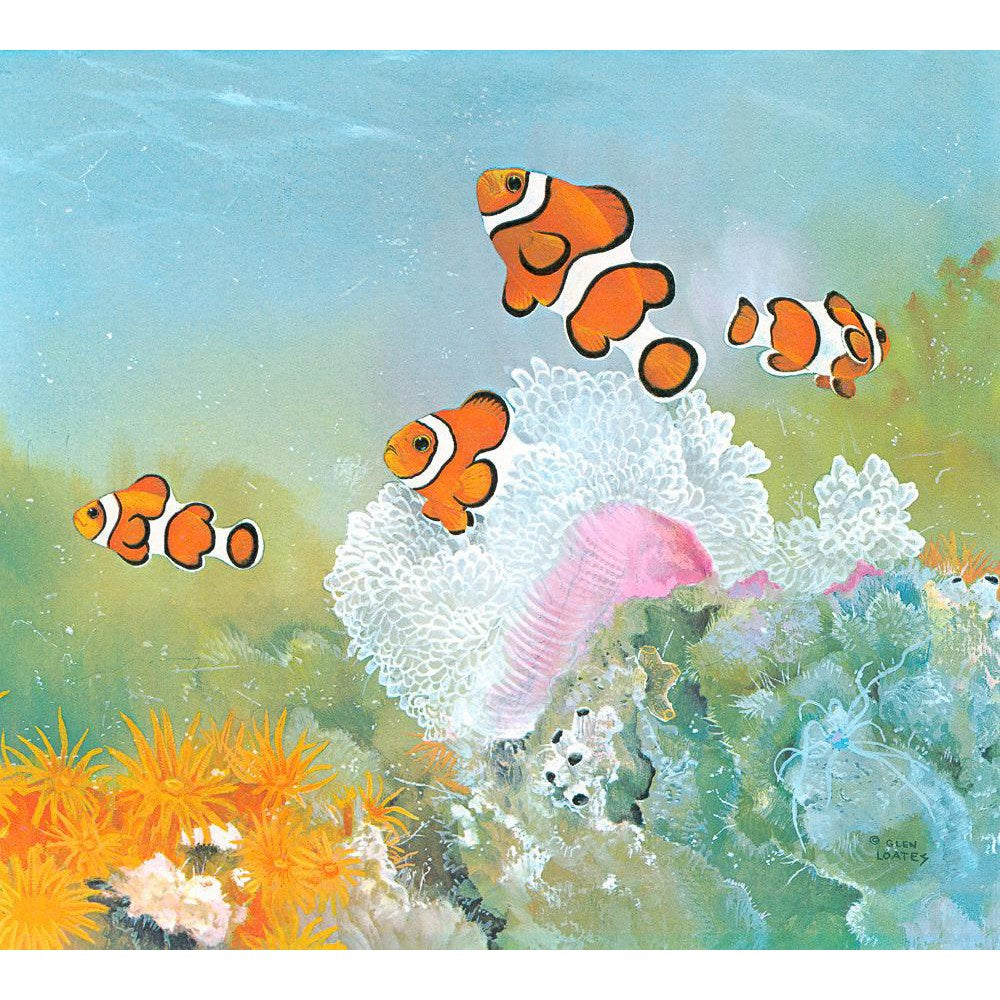 Clown Fish with Sea Anemones - Canvas Print | Artwork by Glen Loates