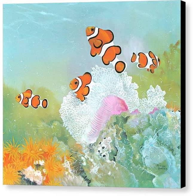 Clown Fish with Sea Anemones - Canvas Print | Artwork by Glen Loates