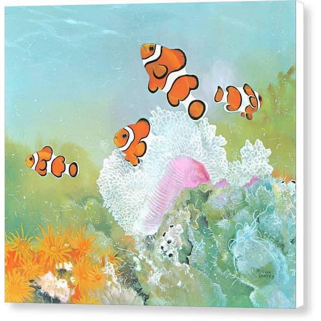 Clown Fish with Sea Anemones - Canvas Print | Artwork by Glen Loates