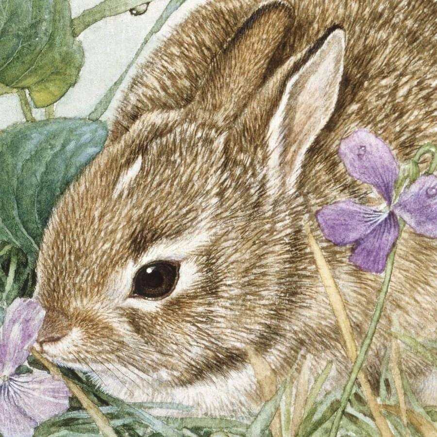 Cottontail Bunny with Violet- Canvas Print | Artwork by Glen Loates