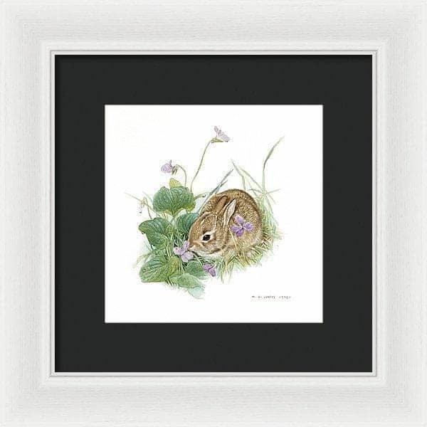 Cottontail Bunny with Violet - Framed Print | Artwork by Glen Loates