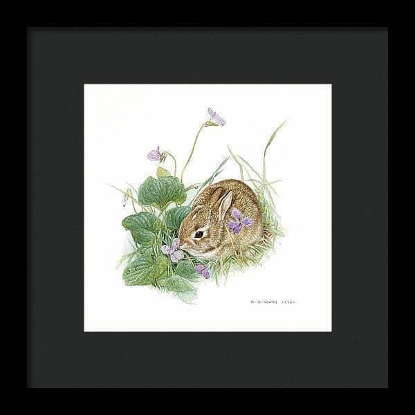 Cottontail Bunny with Violet - Framed Print | Artwork by Glen Loates