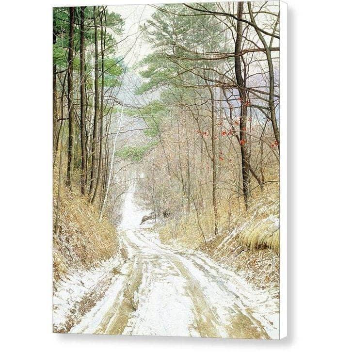 Cottontail Run - Canvas Print | Artwork by Glen Loates