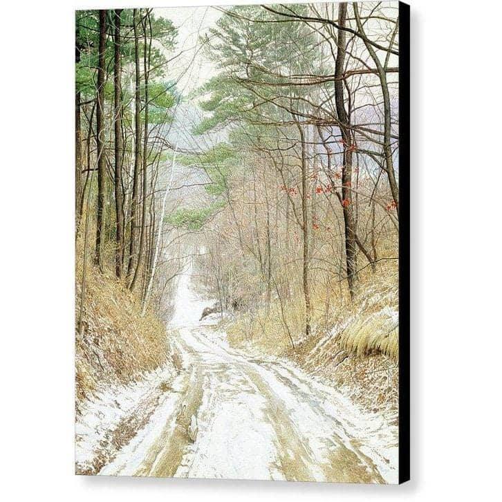 Cottontail Run - Canvas Print | Artwork by Glen Loates