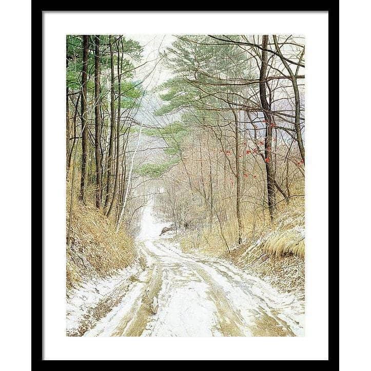 Cottontail Run - Framed Print | Artwork by Glen Loates