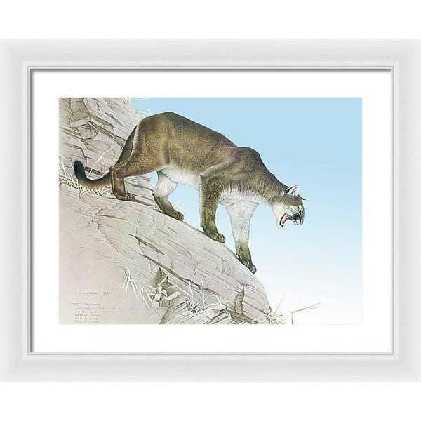 Cougar - Framed Print | Artwork by Glen Loates