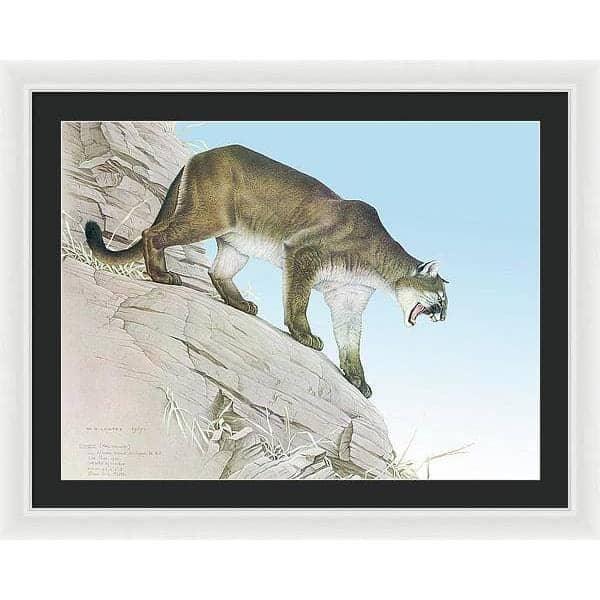 Cougar - Framed Print | Artwork by Glen Loates