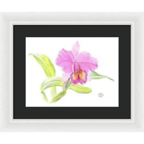 Crimson Cattleya Orchid - Framed Print | Artwork by Glen Loates