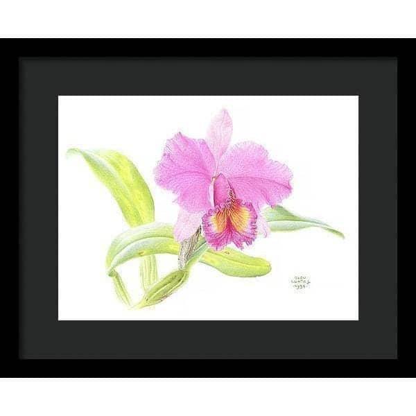 Crimson Cattleya Orchid - Framed Print | Artwork by Glen Loates