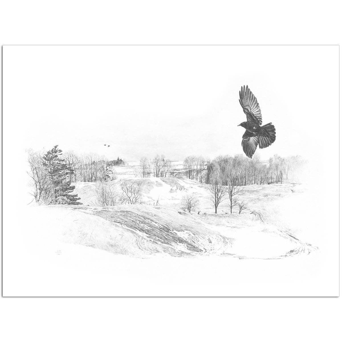 Crow Flying Over Landscape - Art Print | Artwork by Glen Loates