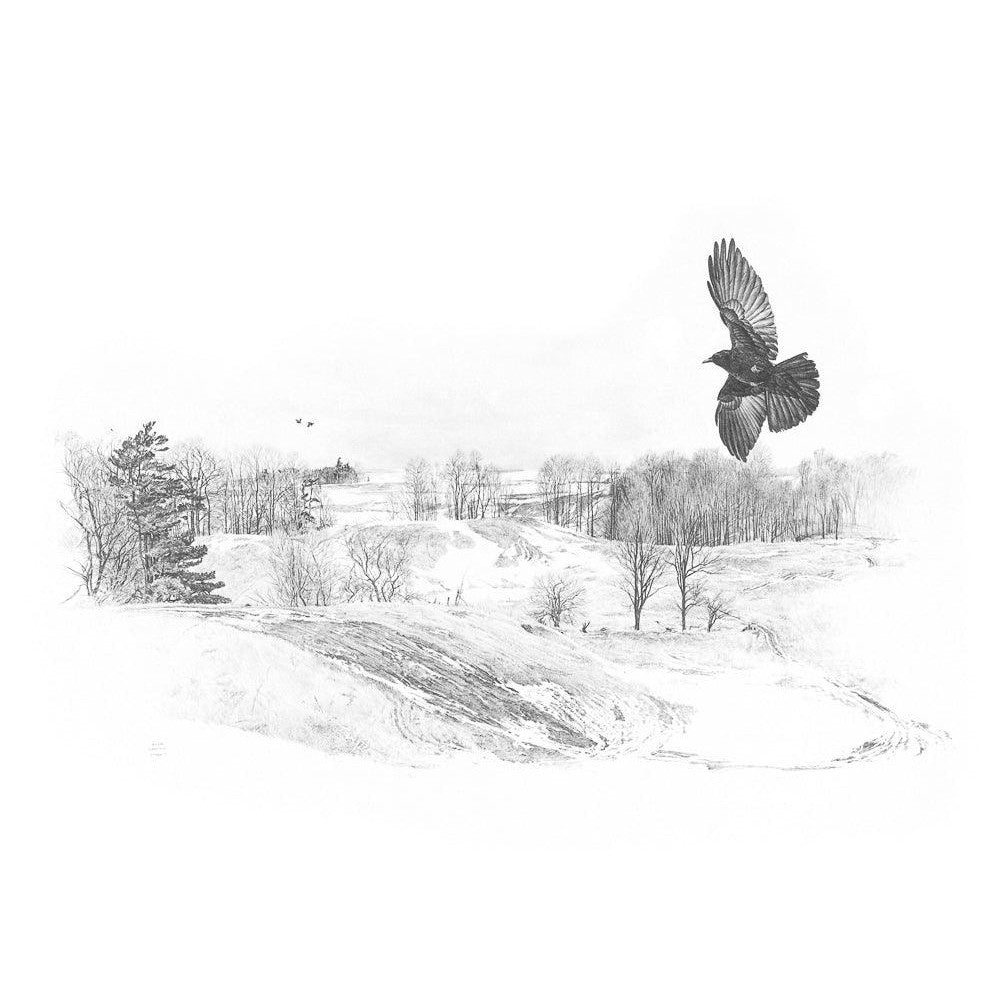 Crow Flying Over Landscape - Canvas Print | Artwork by Glen Loates
