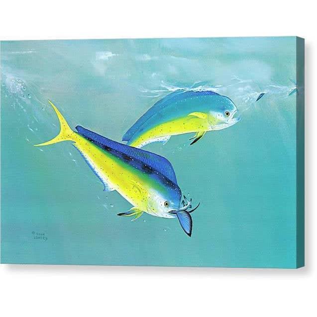 Dolphin - Canvas Print | Artwork by Glen Loates