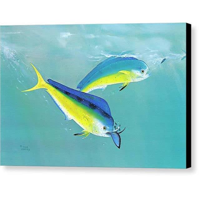 Dolphin - Canvas Print | Artwork by Glen Loates