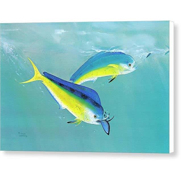 Dolphin - Canvas Print | Artwork by Glen Loates