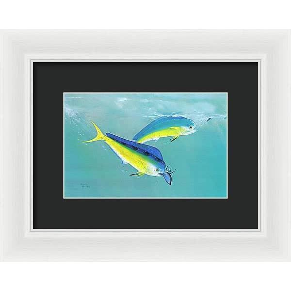 Dolphin - Framed Print | Artwork by Glen Loates