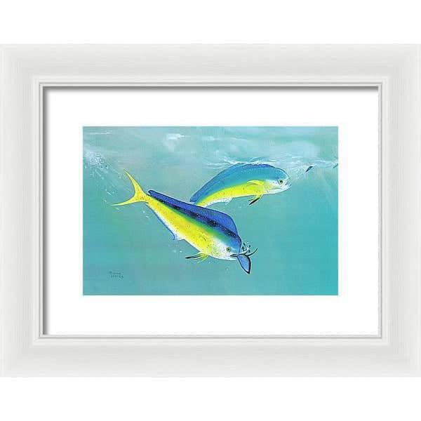 Dolphin - Framed Print | Artwork by Glen Loates