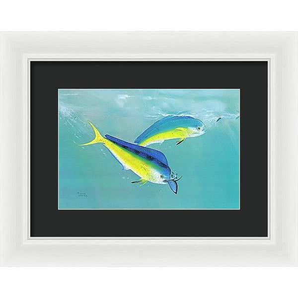 Dolphin - Framed Print | Artwork by Glen Loates