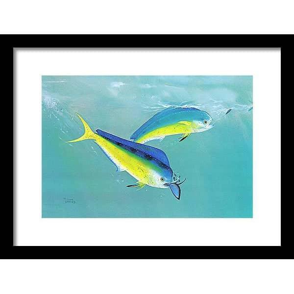 Dolphin - Framed Print | Artwork by Glen Loates