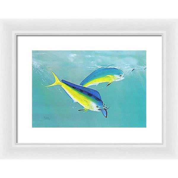 Dolphin - Framed Print | Artwork by Glen Loates