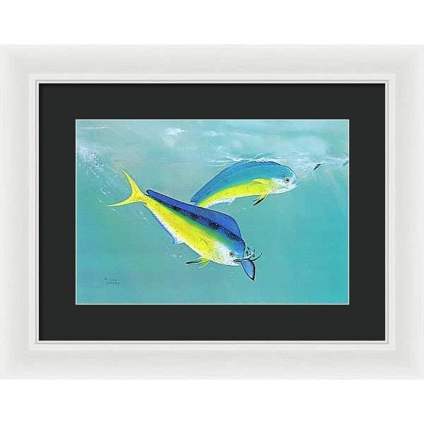 Dolphin - Framed Print | Artwork by Glen Loates