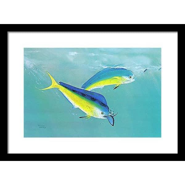 Dolphin - Framed Print | Artwork by Glen Loates