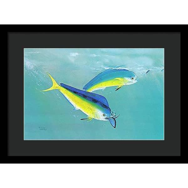 Dolphin - Framed Print | Artwork by Glen Loates