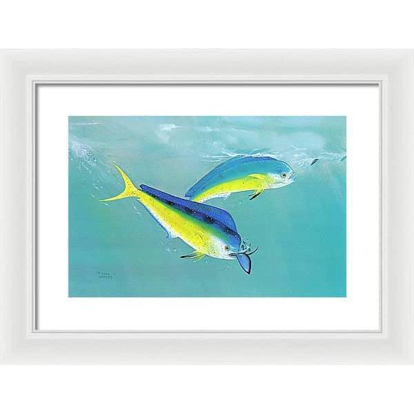 Dolphin - Framed Print | Artwork by Glen Loates