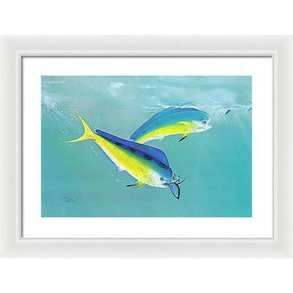 Dolphin - Framed Print | Artwork by Glen Loates