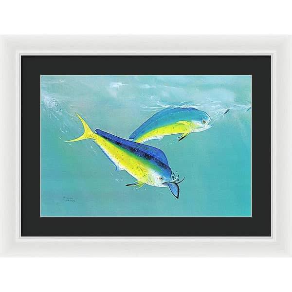 Dolphin - Framed Print | Artwork by Glen Loates