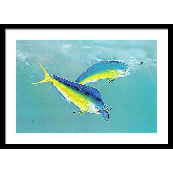 Dolphin - Framed Print | Artwork by Glen Loates