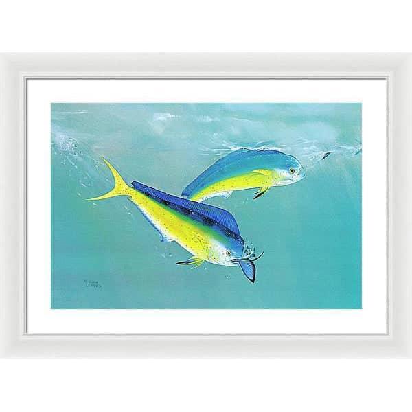 Dolphin - Framed Print | Artwork by Glen Loates