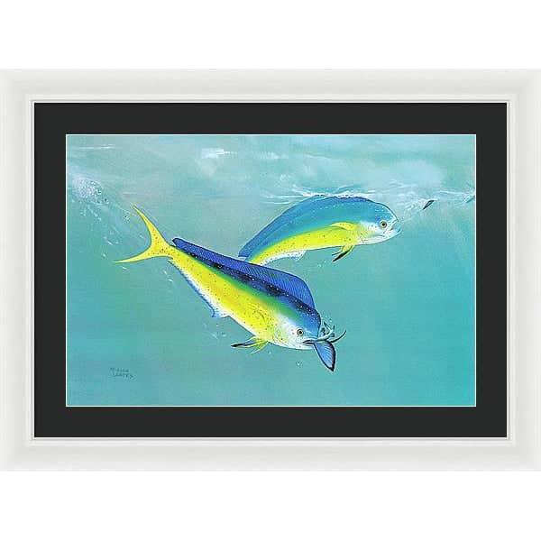 Dolphin - Framed Print | Artwork by Glen Loates